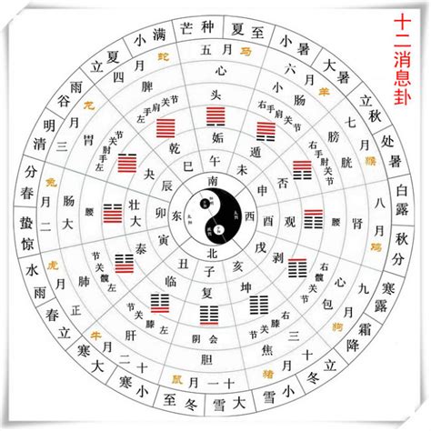 數字命理學|數字命理學簡介：了解數字的力量